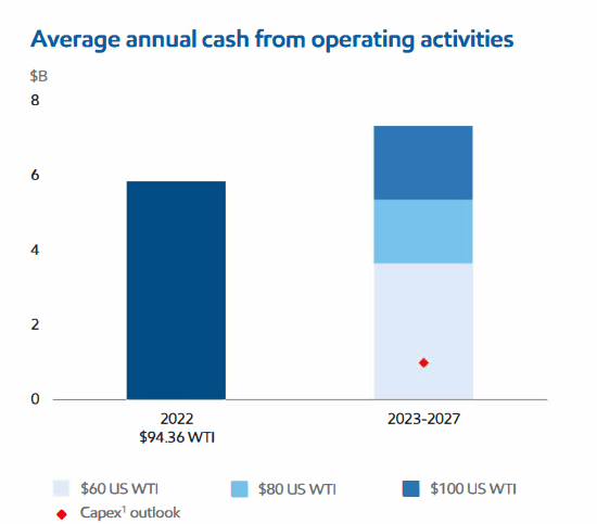 The companys projected cash flows