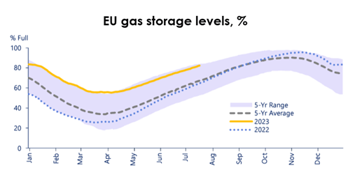 Gas storage