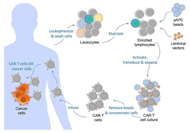 CAR-T Process