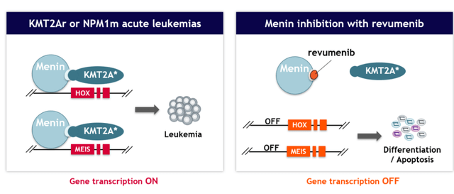 Revemenib MOA