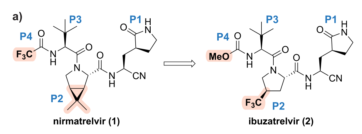 nirmatrelvir and ibuzatrelvir composition